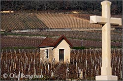 Savigny-lès-Beaune, Burgundy.