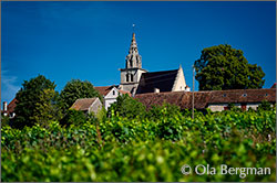 Saint-Sernin-du-Plain, Burgundy.