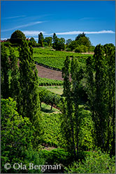 Saint-Sernin-du-Plain, Burgundy.