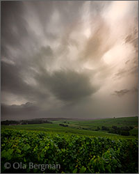 Montagny premier cru Les Treuffères.