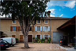 Domaine Gondard-Perrin, Viré, Burgundy.