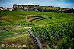 Solutré-Pouilly in the Mâconnais, Burgundy.