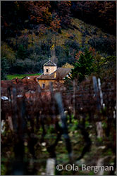 Champvent in Burgundy.