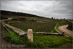 Domaine Pierre Gelin - Fixin premier cru Les Hervelets, Burgundy.