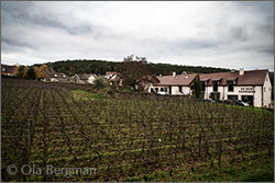 Domaine Pierre Gelin - Fixin premier cru Clos Napoléon, Burgundy.