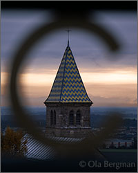 Domaine Pierre Gelin - Fixin premier cru Clos Napoléon, Burgundy.