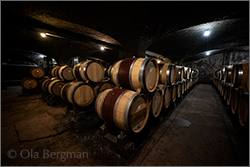 Domaine Jean-Marc & Hugues Pavelot in Savigny-lès-Beaune, Burgundy.