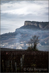 Solutré-Pouilly, Burgundy.