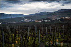 Solutré-Pouilly, Burgundy.