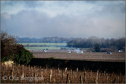 Morey-Saint-Denis, Burgundy.