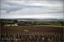 Montagny premier cru, Les Coères.