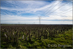 Nuits St-Georges, Les Poisets.