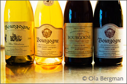 Bourgogne Côte Saint Jacques